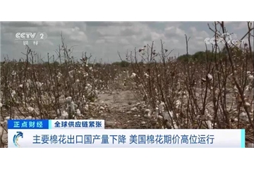 央視調(diào)查：棉花大漲！服裝訂單量下滑，外貿(mào)企業(yè)面臨“三座大山”